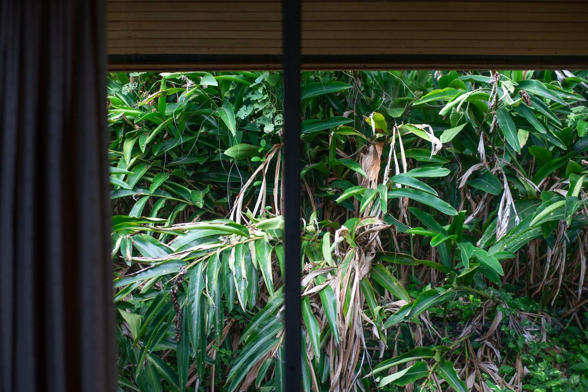 Frenchman'S Cove Resort Port Antonio Exterior photo